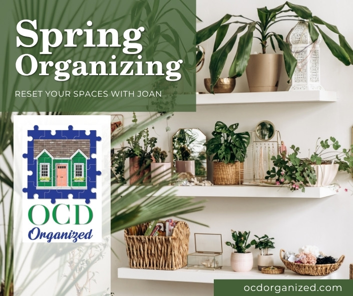 new jersey spring cleaning professional organizer